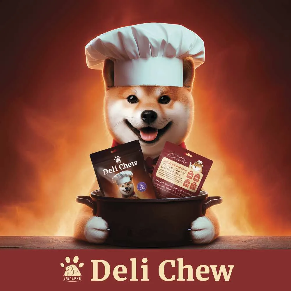 15% OFF: Singapaw Deli Chew Beef Stick Dog Treats 120g