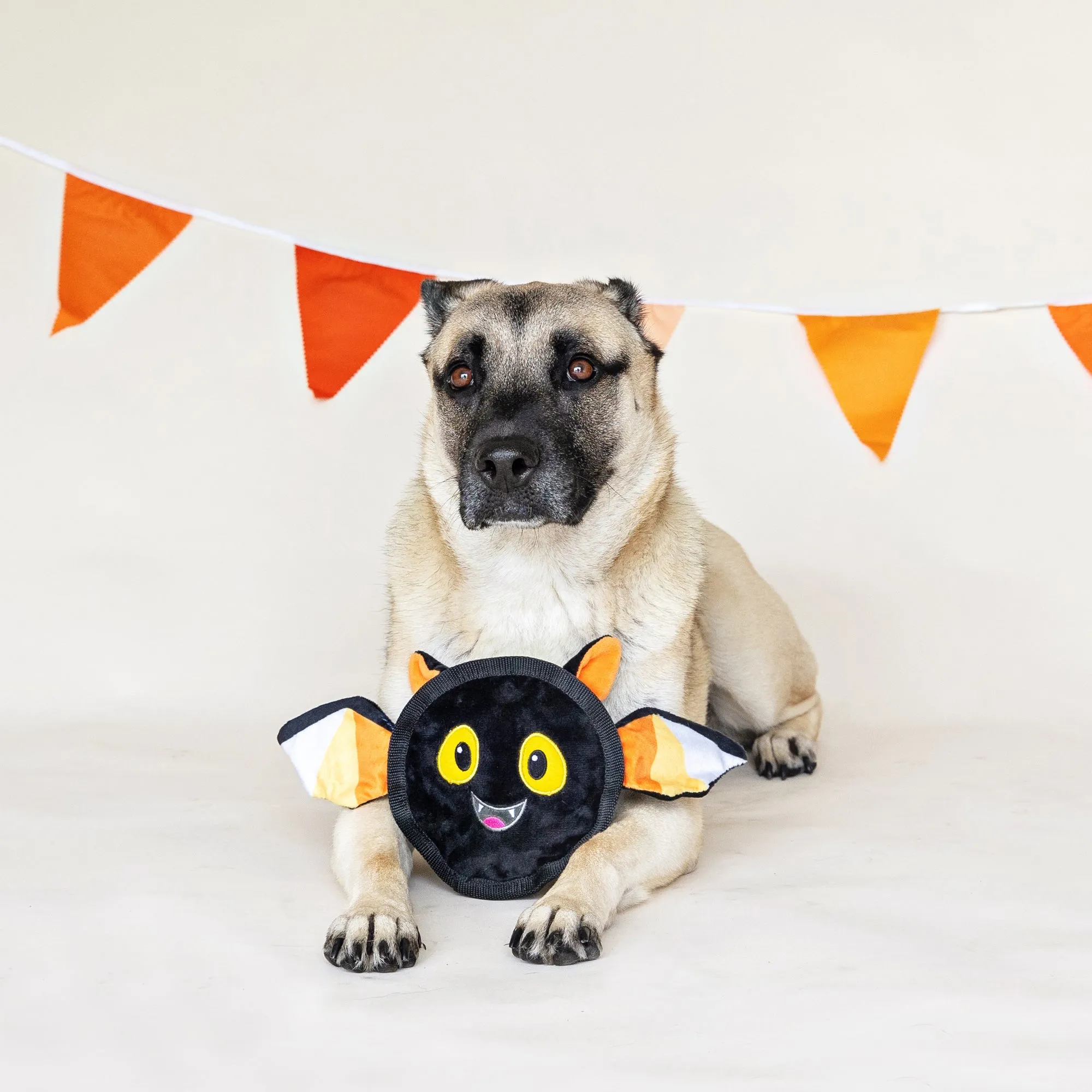 bats the way it is durable plush dog toy