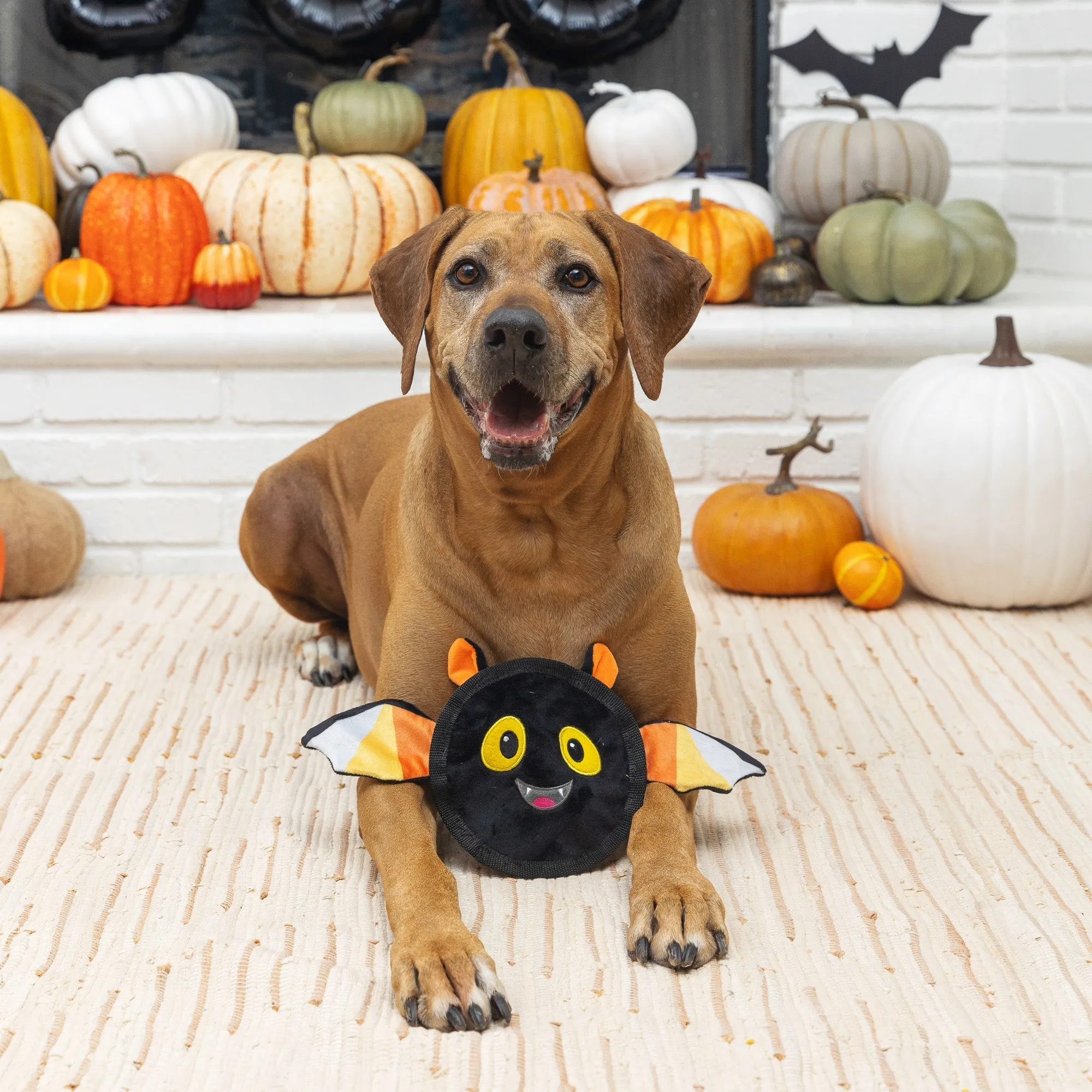 bats the way it is durable plush dog toy