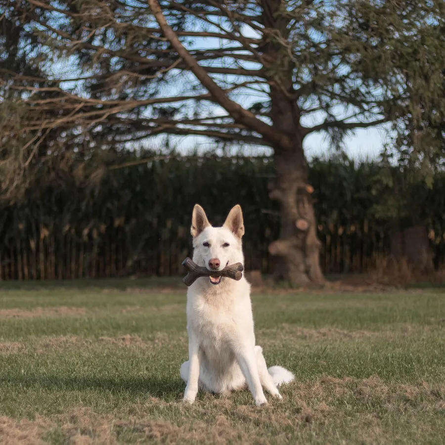 Benebone Maplestick