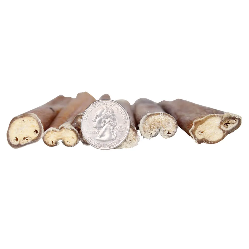 Premium All Natural Dog Pizzle Chews, 6"