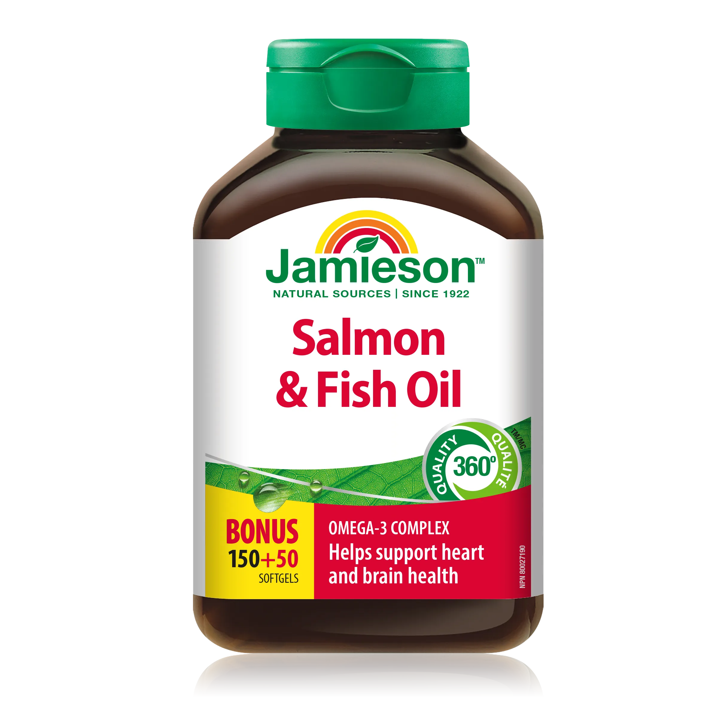 Salmon & Fish Oil