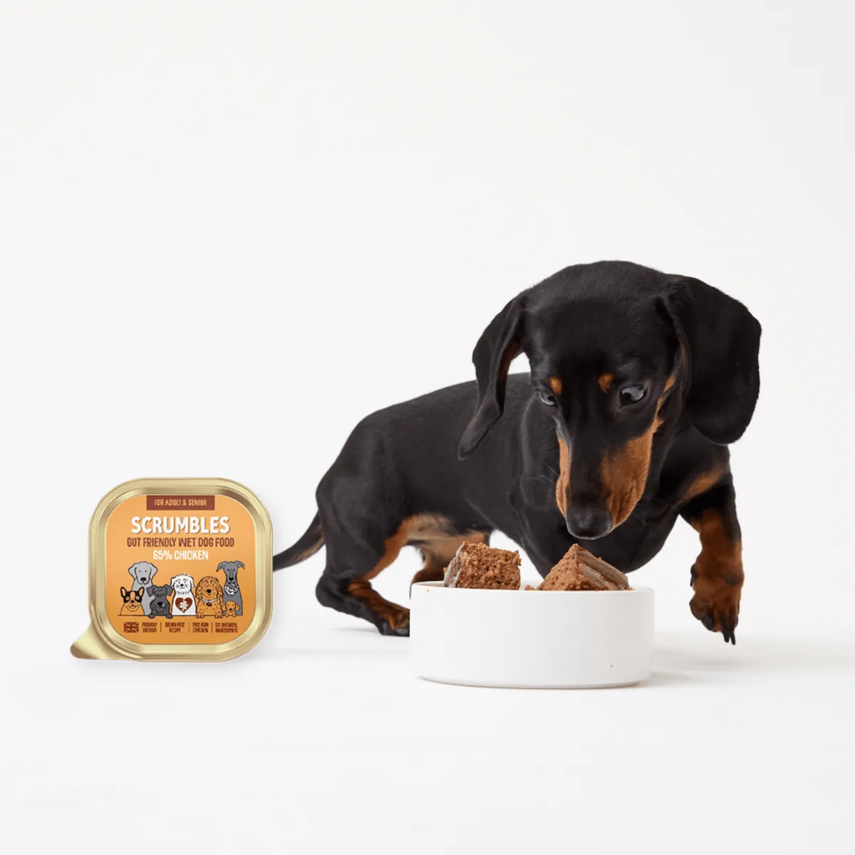 Sensitive Chicken Wet Dog Food (150g)