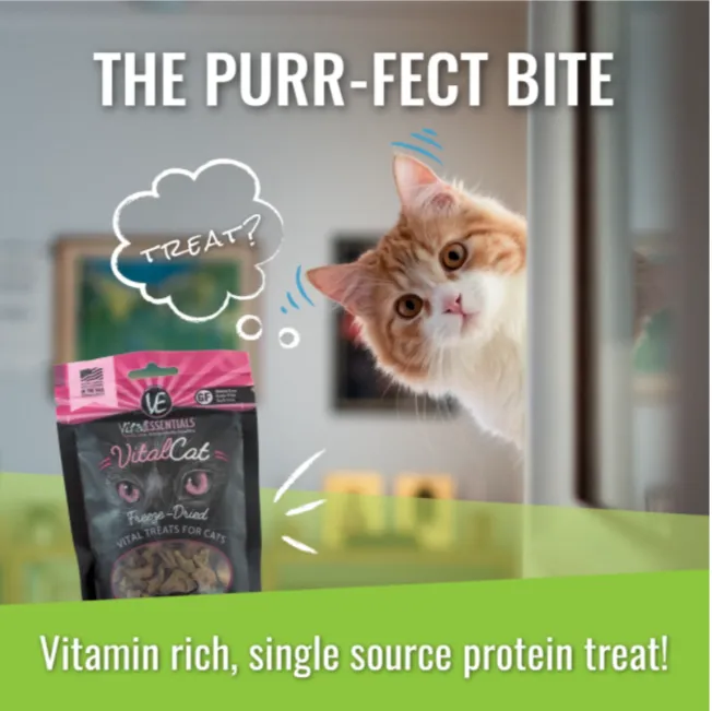 Vital Essentials - Vital Cat - Freeze Dried Rabbit Bites