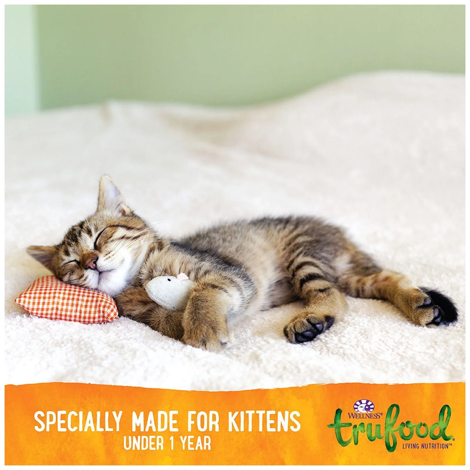 Wellness TruFood Baked Blends Grain-Free Chicken, Lentils & Chicken Liver Kitten Recipe Dry Cat Food