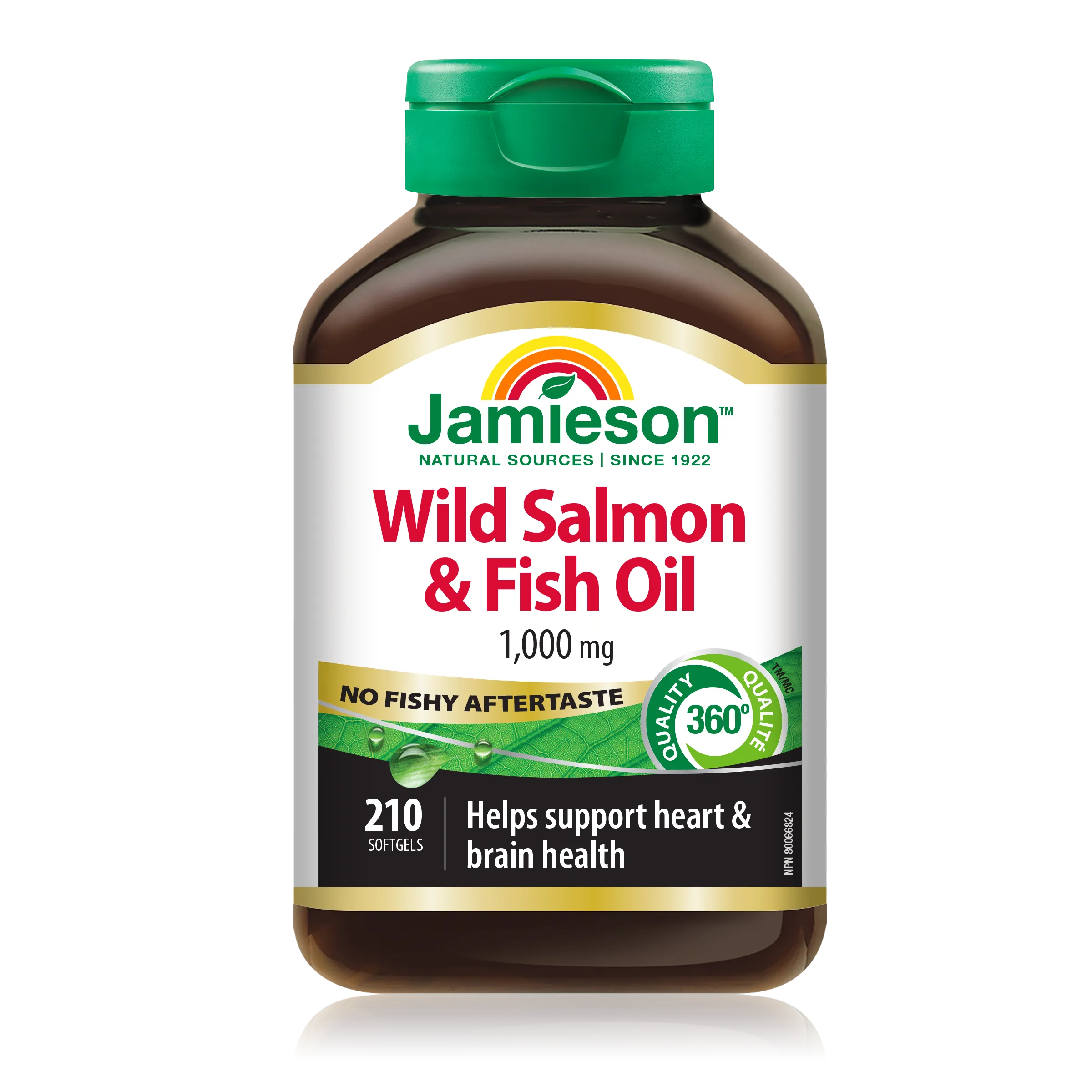 Wild Salmon & Fish Oil | No Fishy Aftertaste