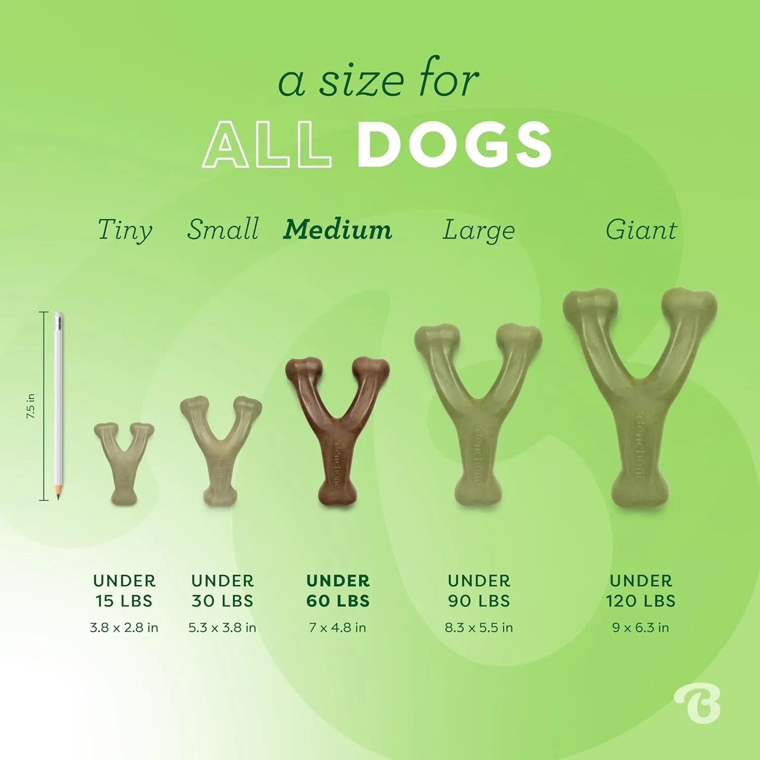 Wishbone Durable Dog Chew Toy